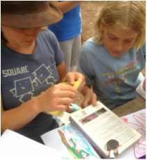 field guides, exploring, learning, edible plants, camping, 