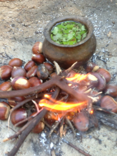 cooking on the fire, clay pot, chestnuts, natural foods, wild crafting, survival, teens, 